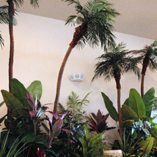 ���W���[�{��